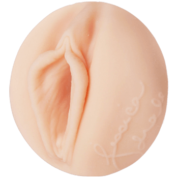 Jessica Drake's pussy